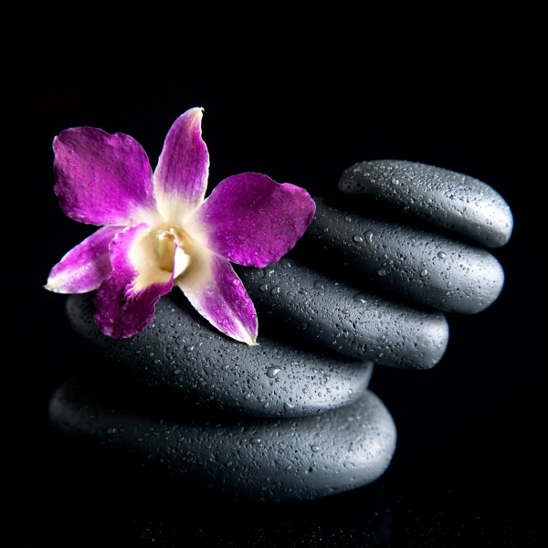 Glas-Bild Purple Orchid & Black Stones